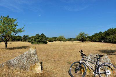 Paysage de la Petite Crau