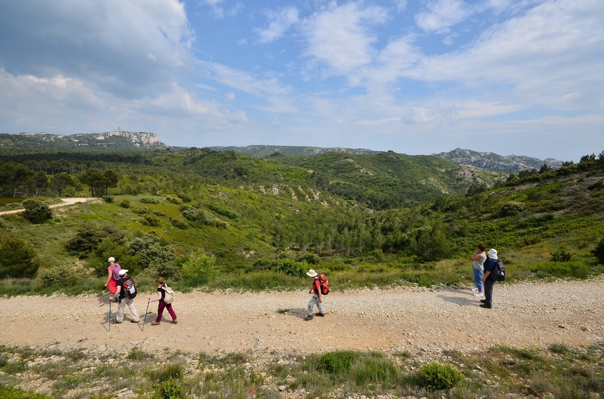 La Vallongue - Aureille