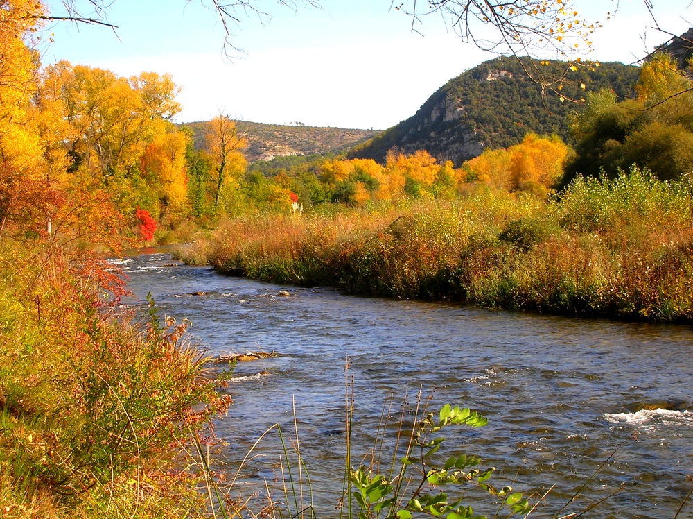 L'automne sur les rives du Verdon