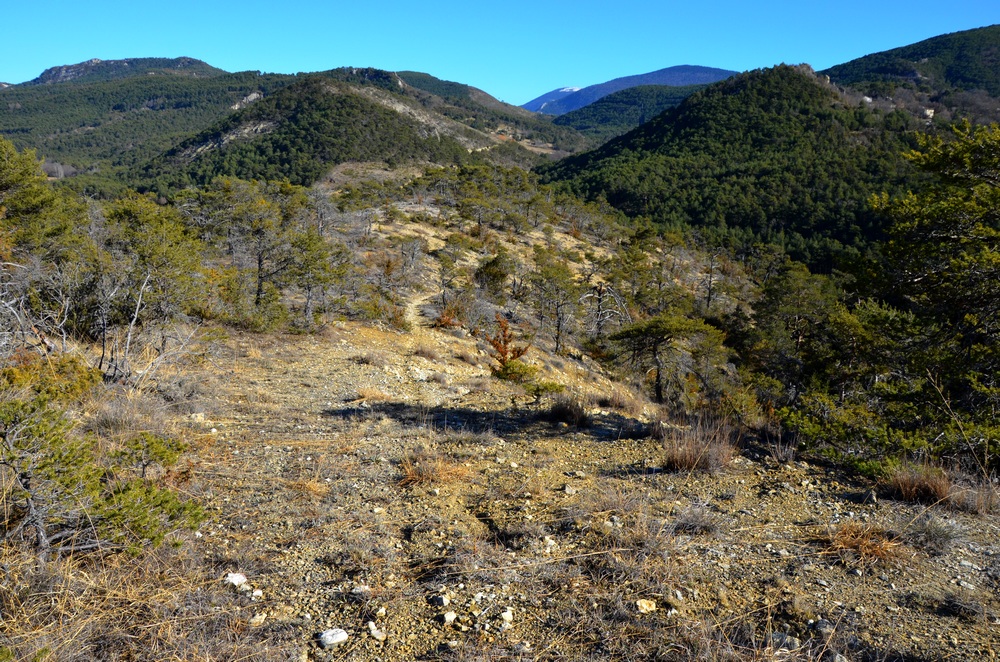 Sur les chemins oubliés