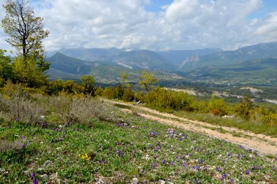 Sur les hauteurs de Trigance