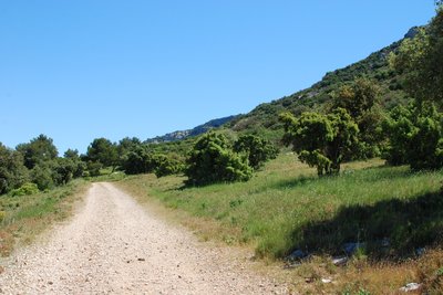 Piste DFCI et chemin de randonnée autour des Taillades
