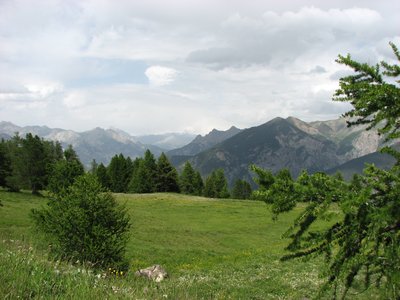 Panorama