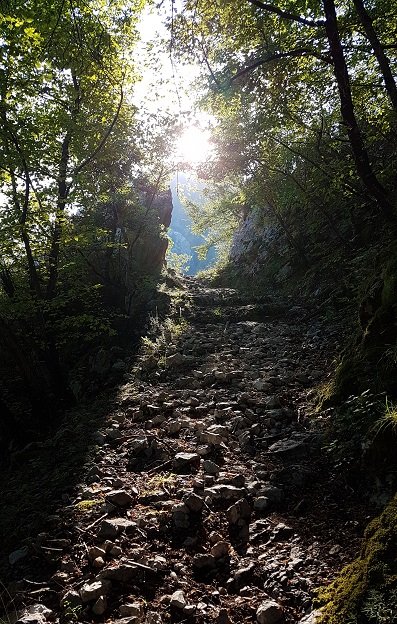 Les reflets du soleil sur le GR4