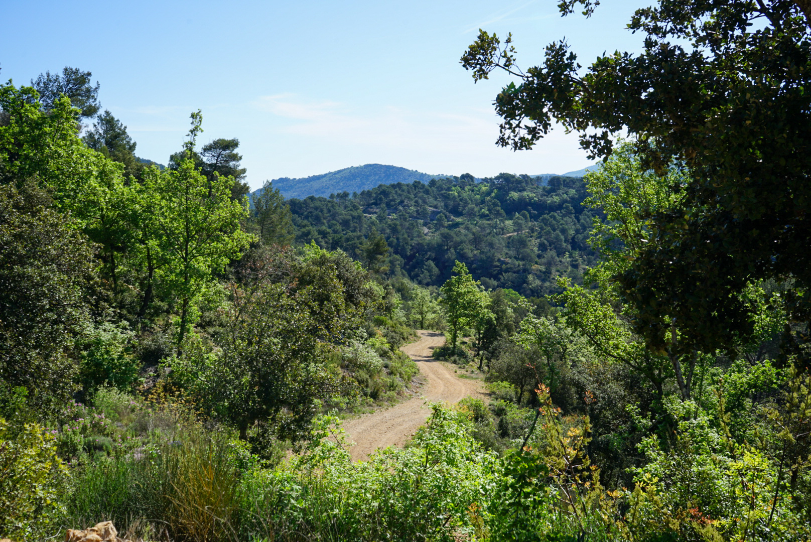 Vue sur la Sainte-Baume