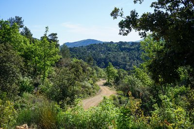 Vue sur la Sainte-Baume