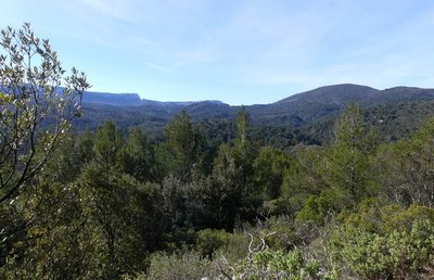 La descente par le Chambeyron